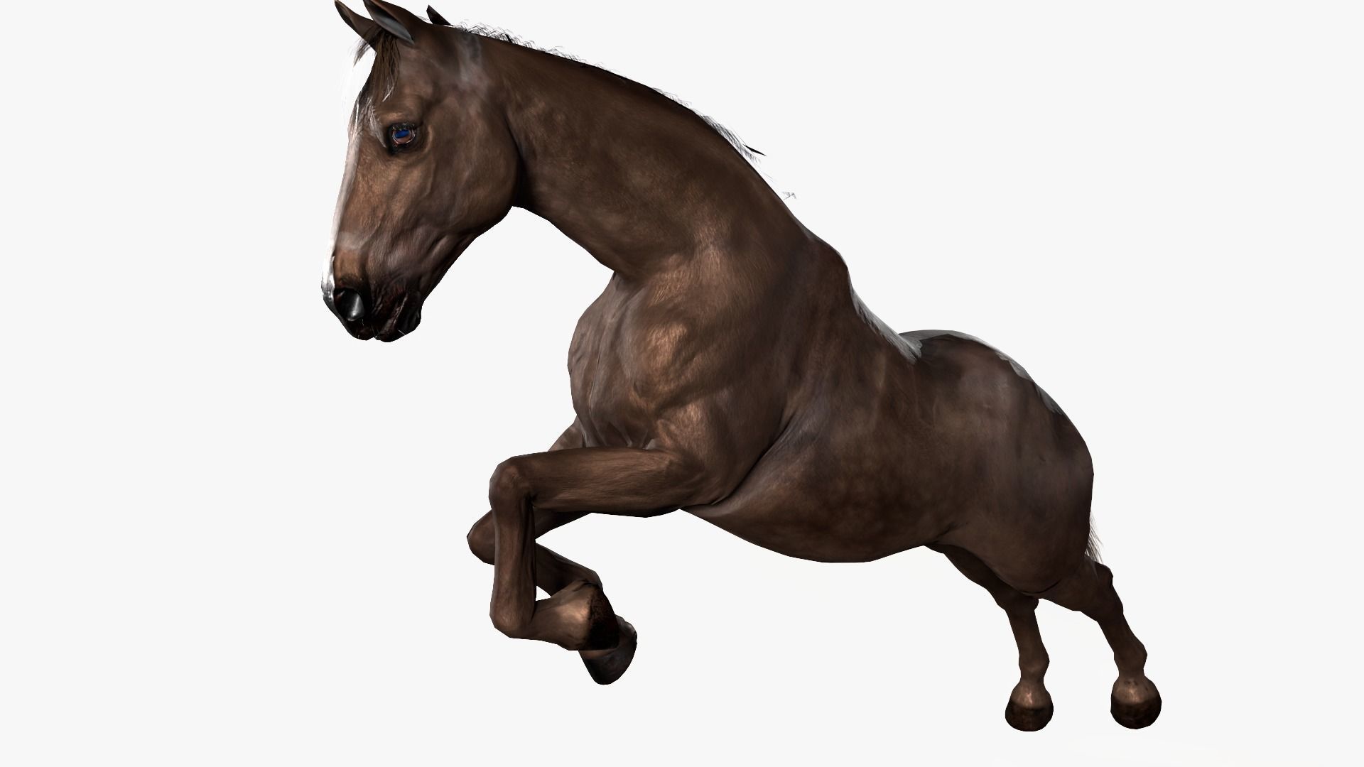 Horse Rigged Low-poly 3D model_10