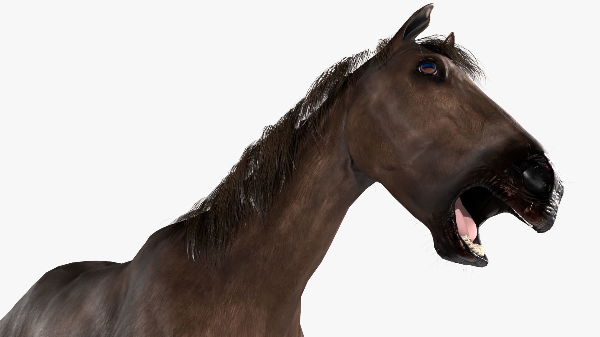 Horse Rigged Low-poly 3D model_6