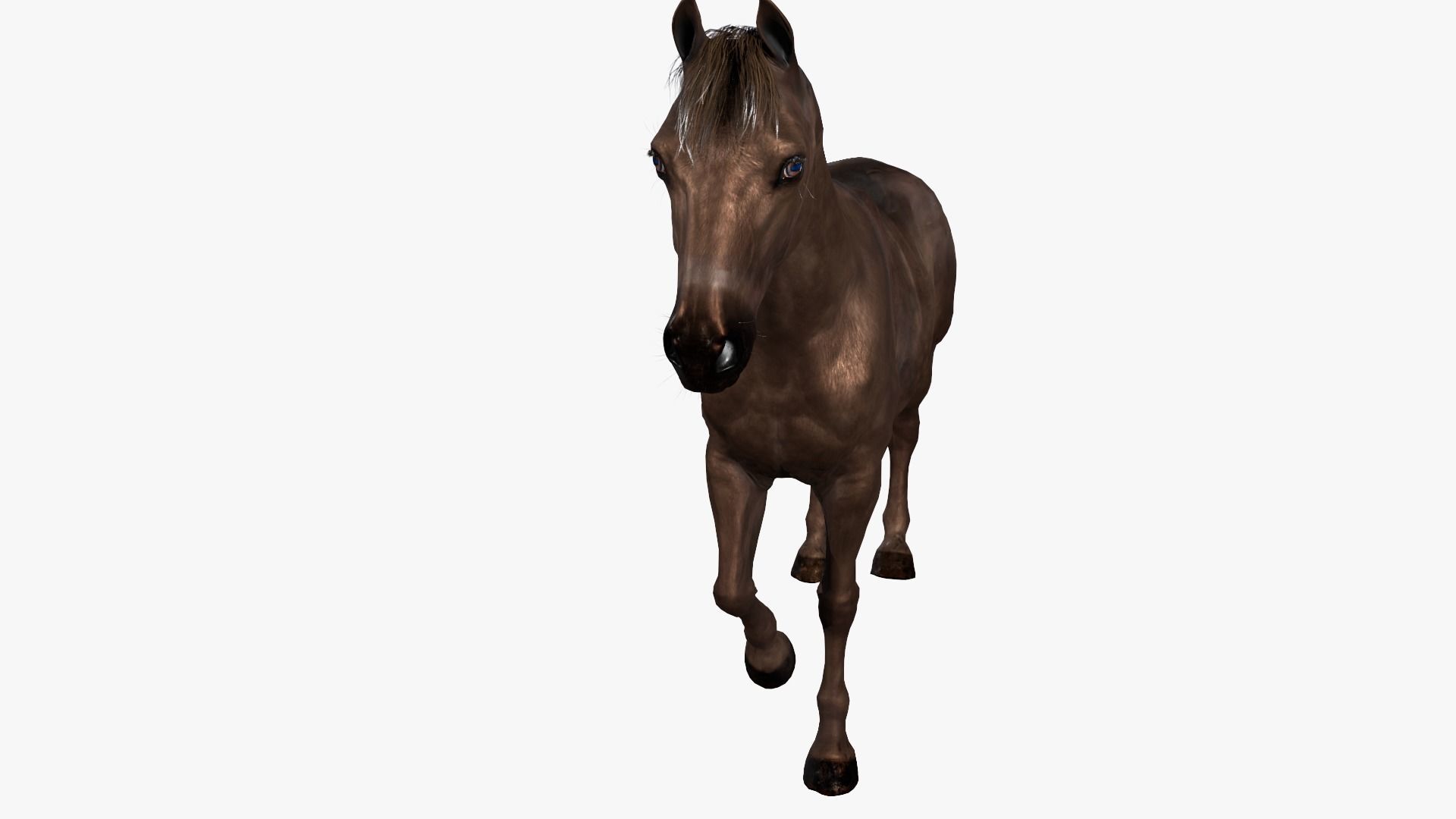 Horse Rigged Low-poly 3D model_5