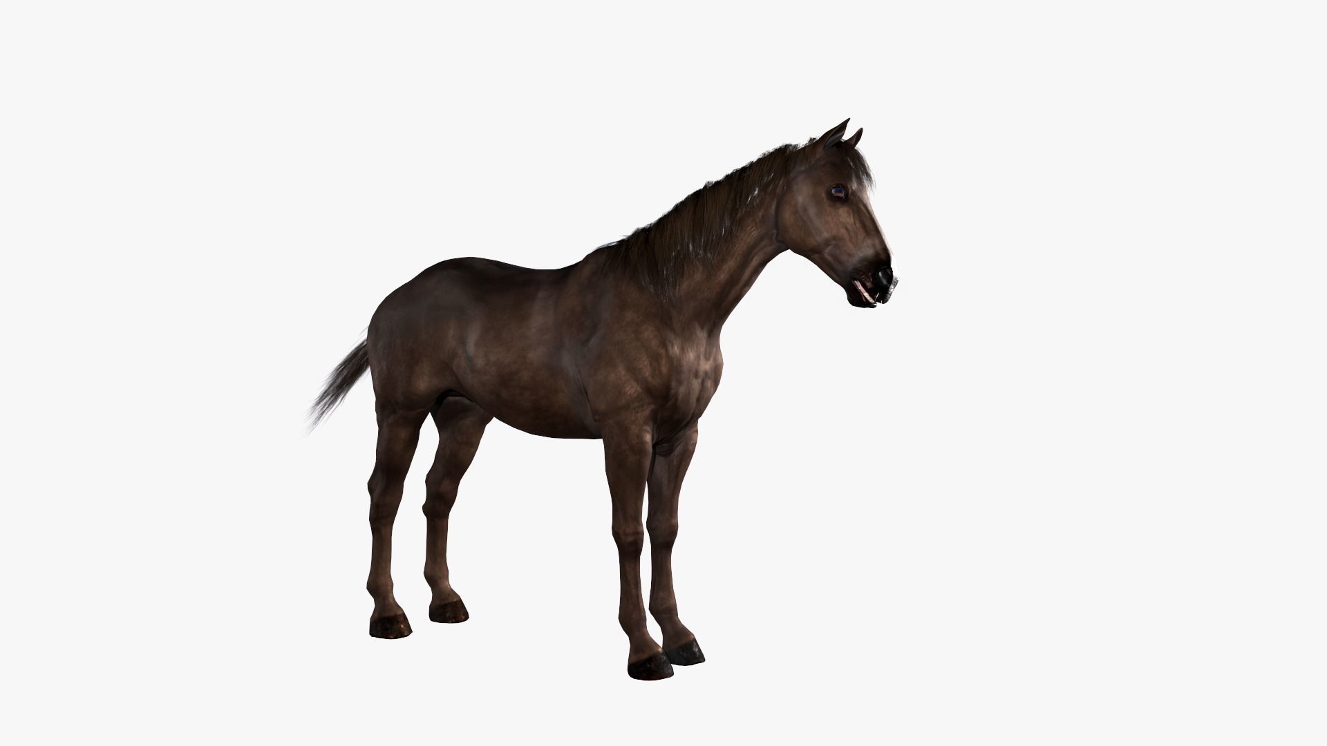 Horse Rigged Low-poly 3D model_2