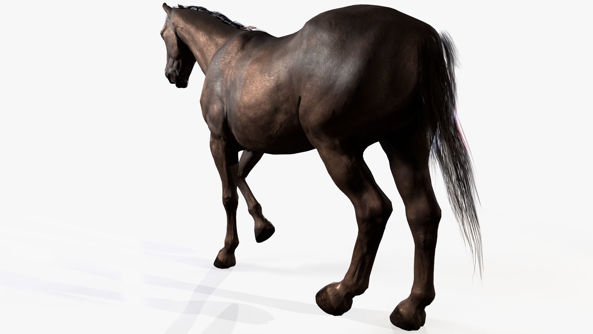 Horse Rigged Low-poly 3D model_7