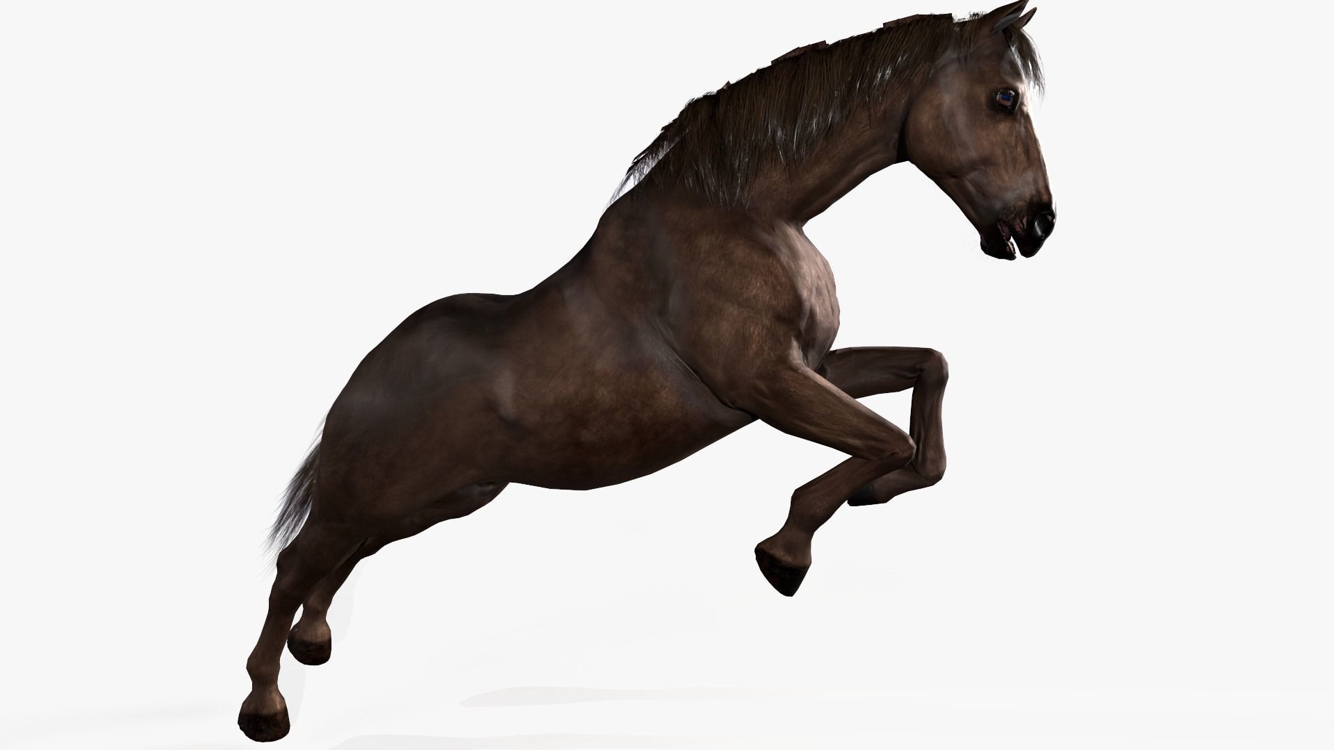 Horse Rigged Low-poly 3D model_9