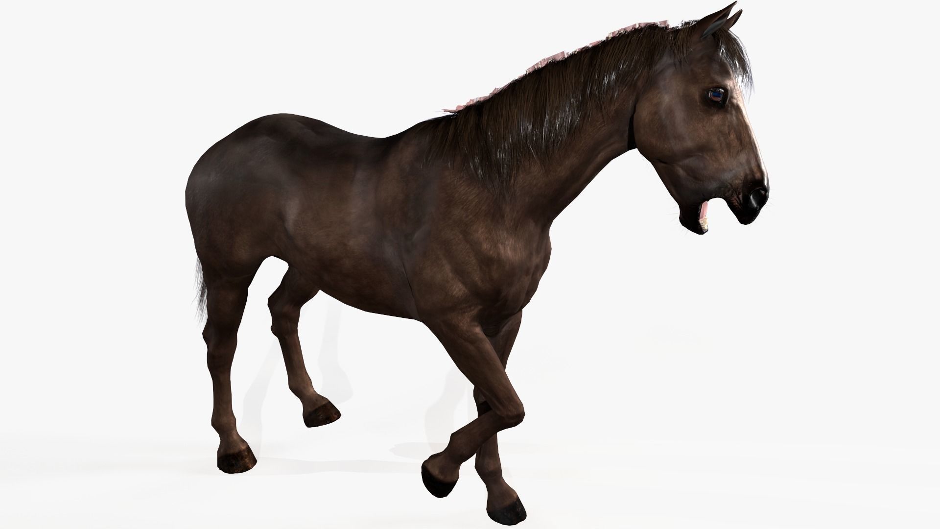 Horse Rigged Low-poly 3D model_8