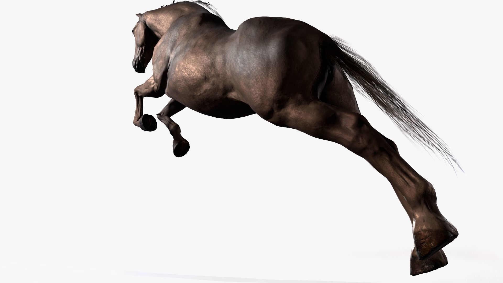 Horse Rigged Low-poly 3D model_12