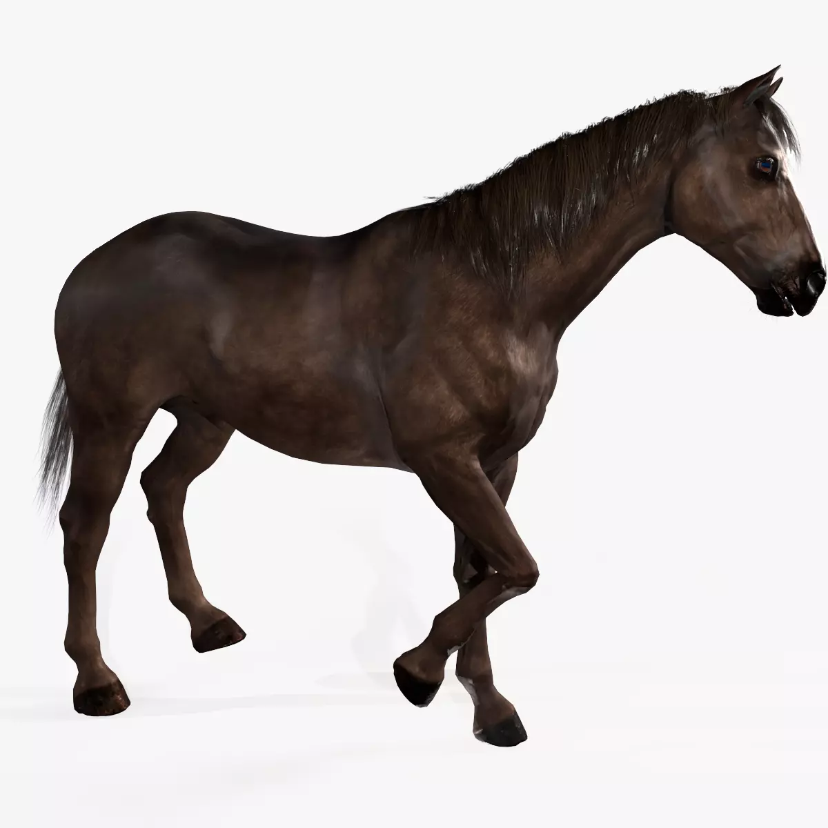Horse Rigged Low-poly 3D model_0