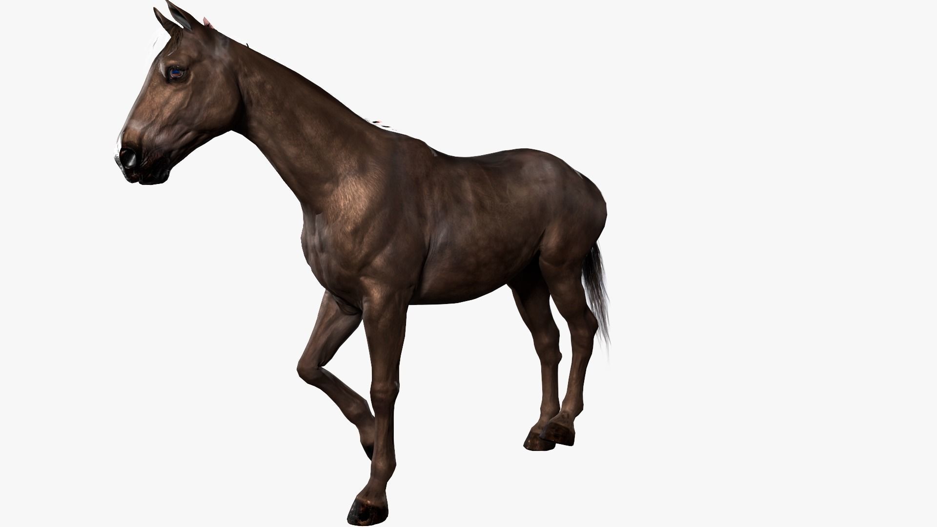 Horse Rigged Low-poly 3D model_3