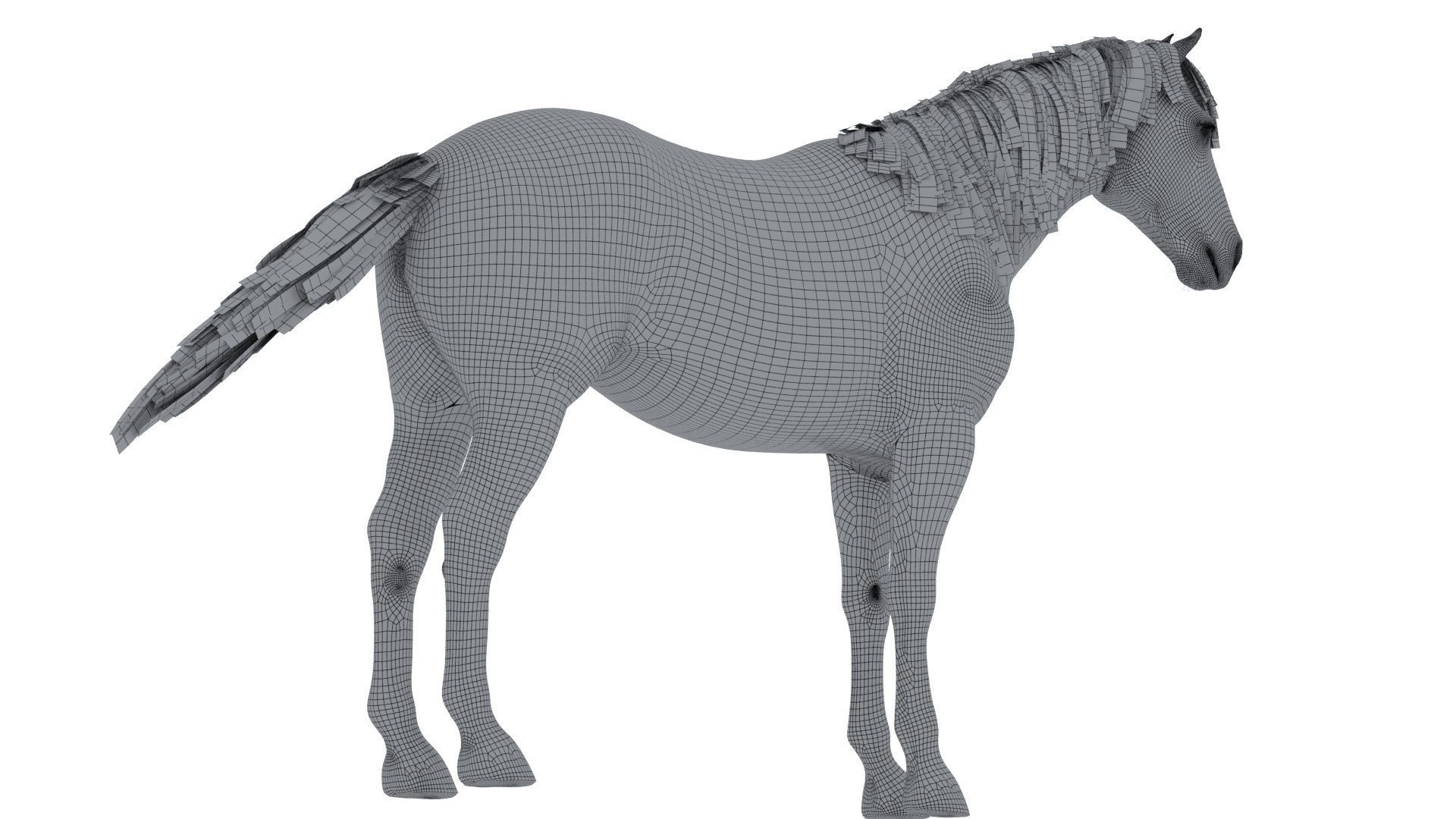 Horse Rigged Low-poly 3D model_19