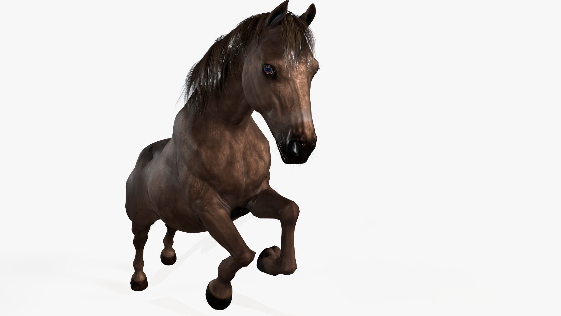 Horse Rigged Low-poly 3D model_11