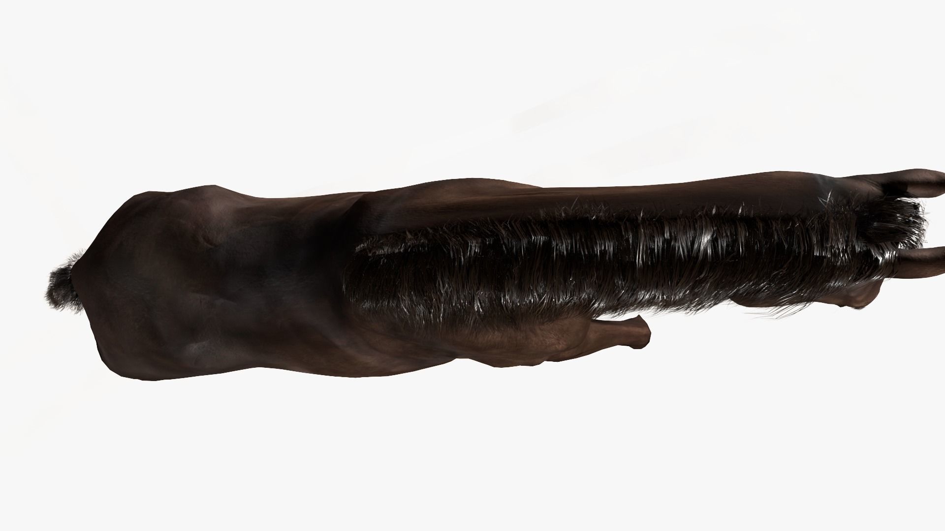 Horse Rigged Low-poly 3D model_13