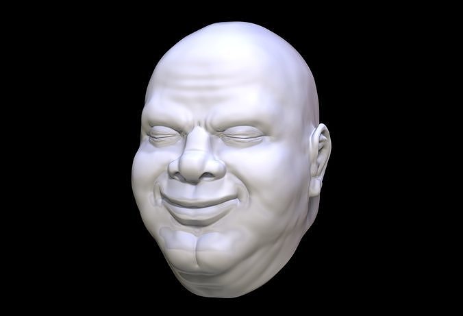 Bliss Head Sculpt 3D print model