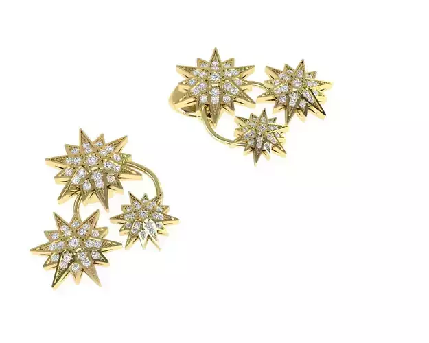 STAR EArrings