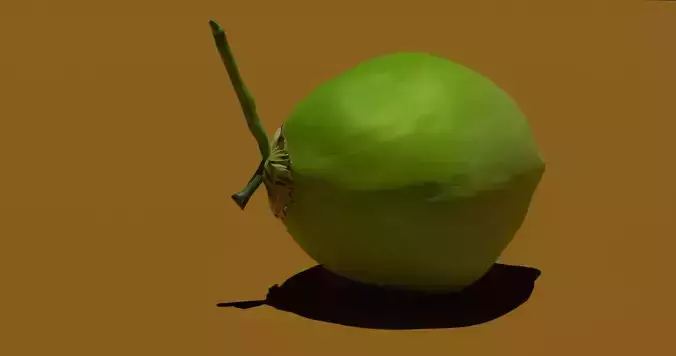 Coconut Green Lowpoly