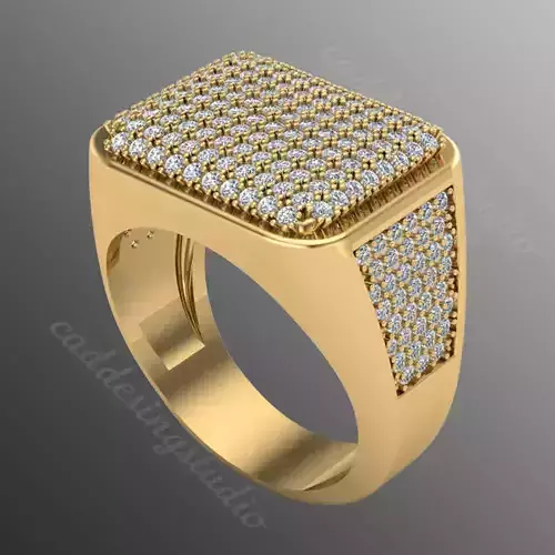 Ring ri 270 3D print model