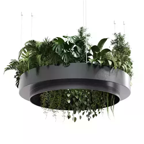 hanging plants collection Indoor plant 241 metal dirt vase 