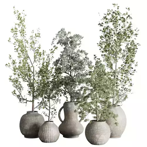 Collection indoor plant 240 pot Tree Bush Concrete Dirty Vase
