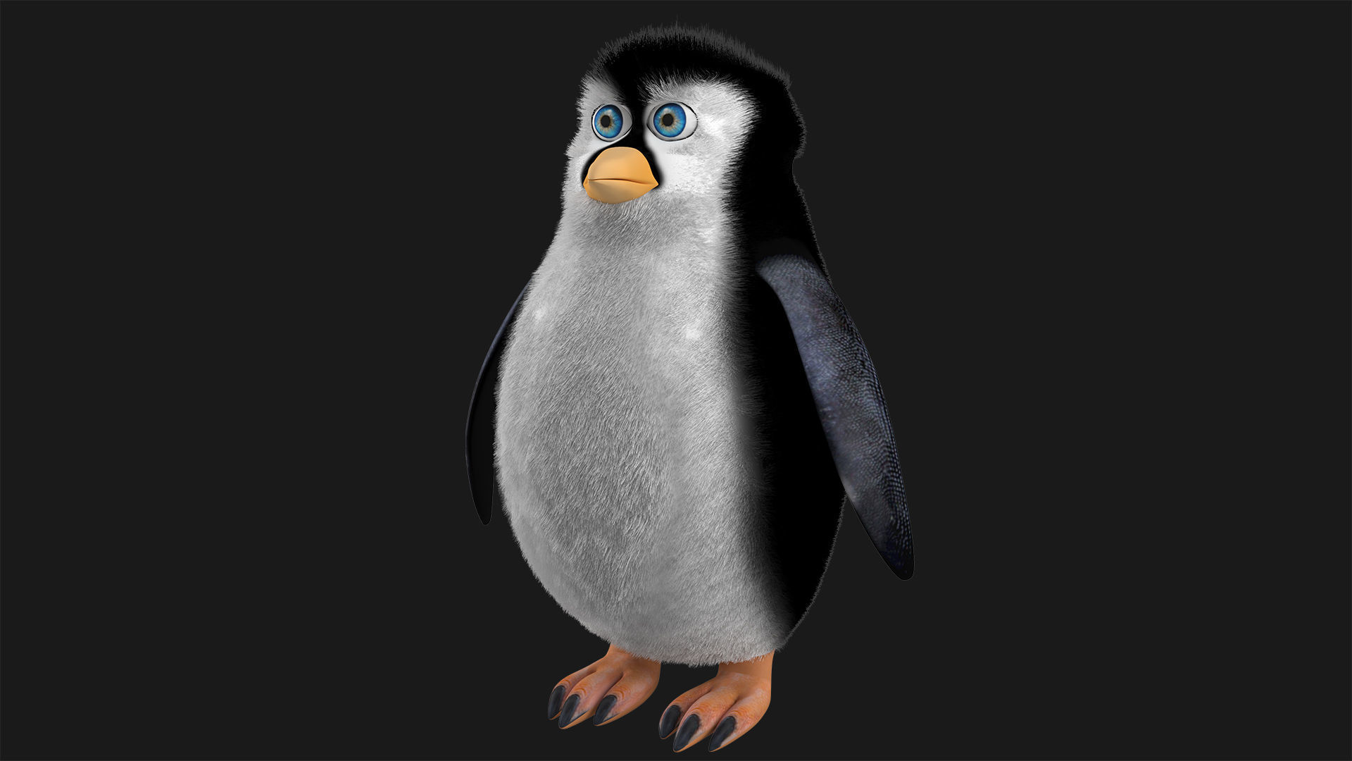 Realistic Penguin 3D Model with eyes Low-poly 3D model_2