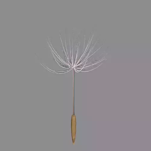 Dandelion V1 3D model