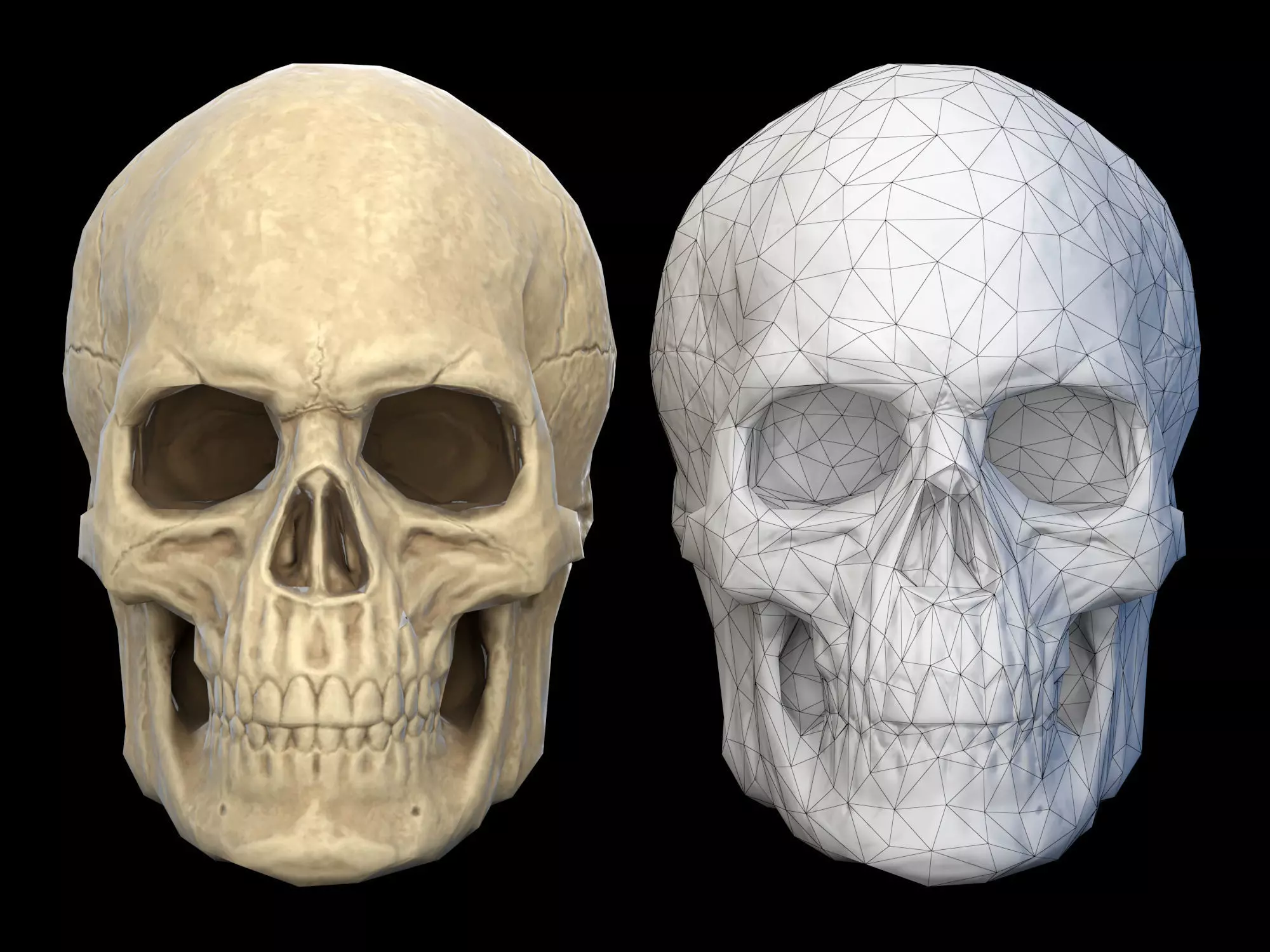 Human skull 2 Low-poly 3D model