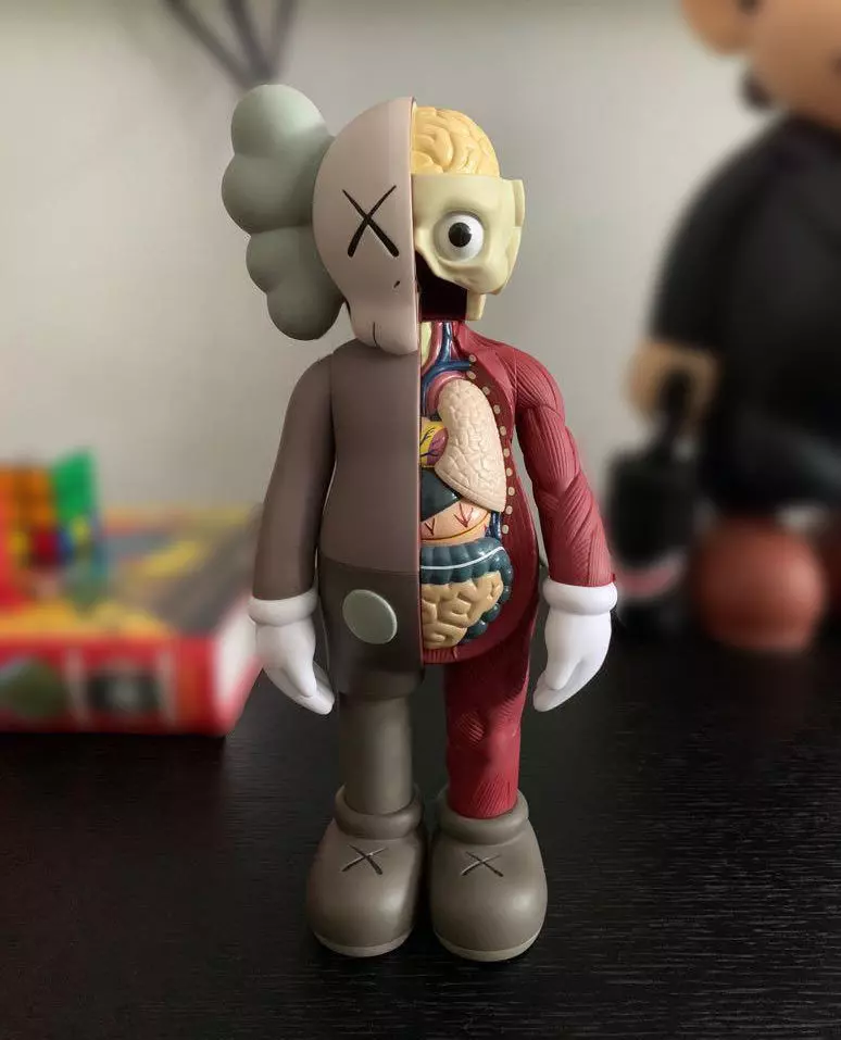Kaws Flayed Open Companion for Print 3D print model_0