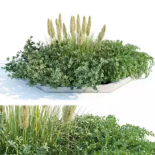 outdoor plants collection vol 88 3D model