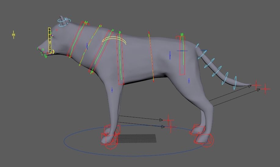 Wolf rig 3D model_2