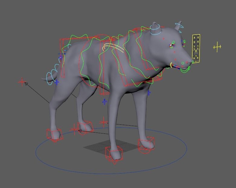Wolf rig 3D model_1