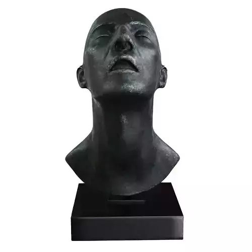 Head Sculpture