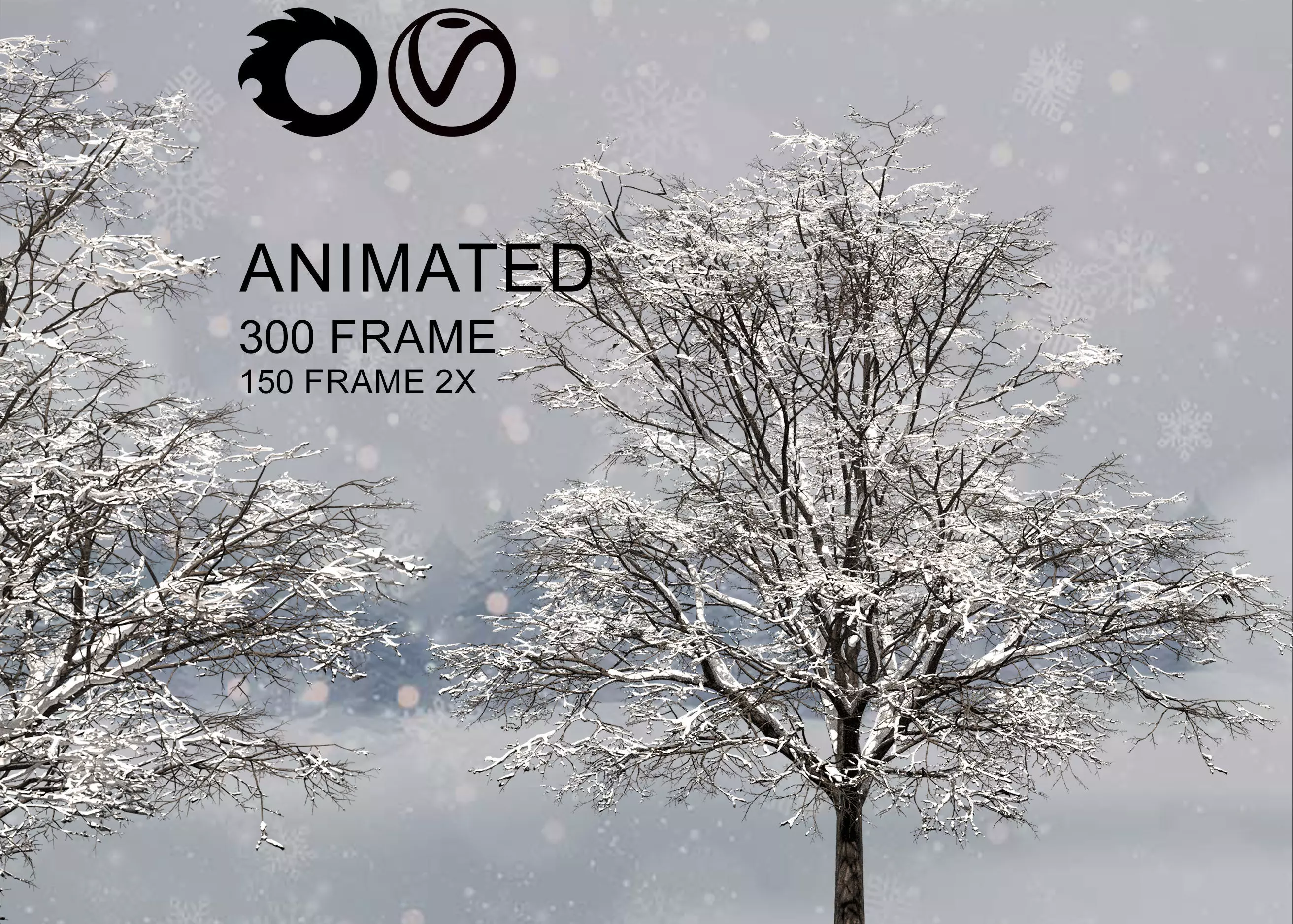 ENGLISH WALNUT snowy animate  2 3D model_0