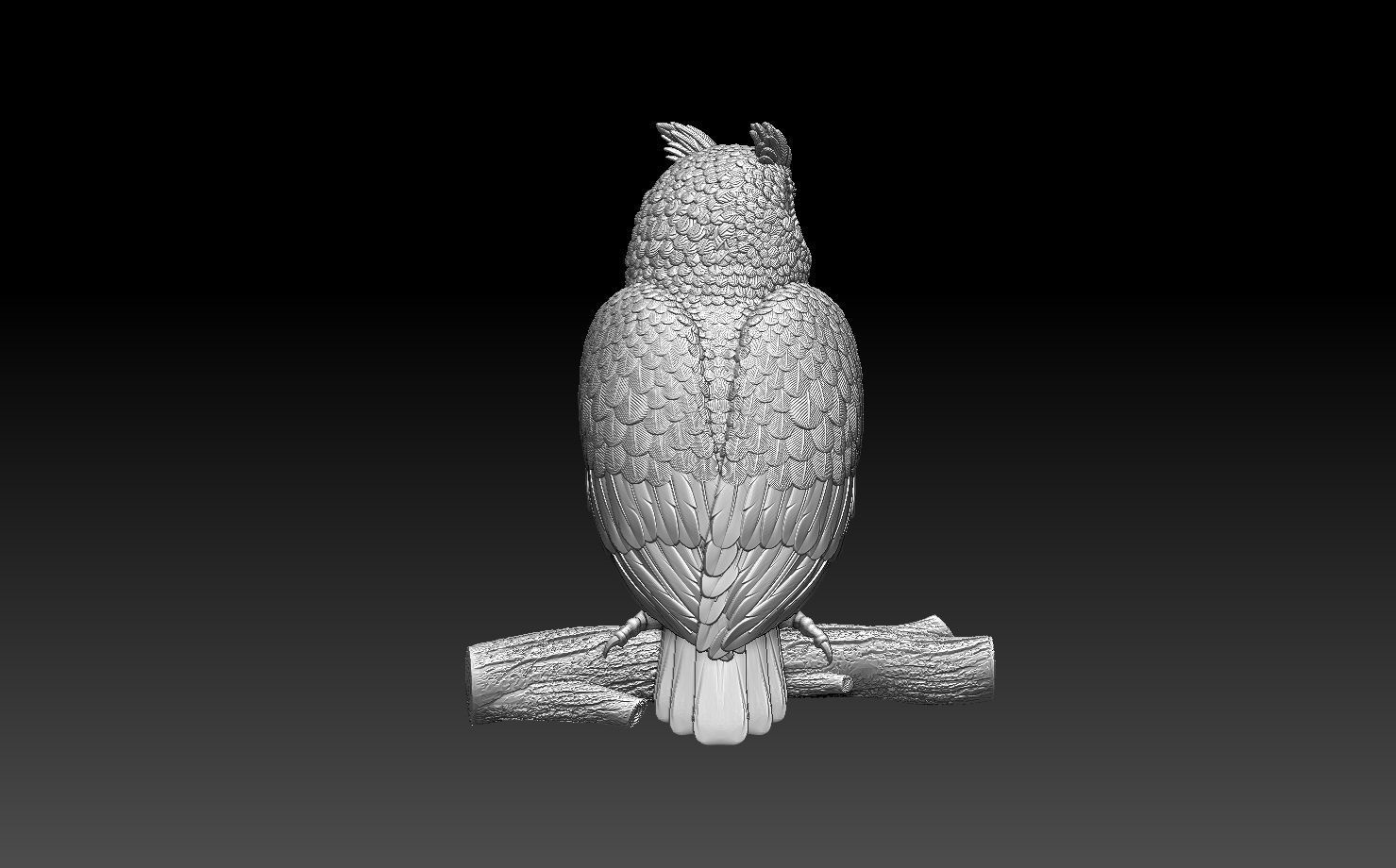 owl bird 3D print model_38