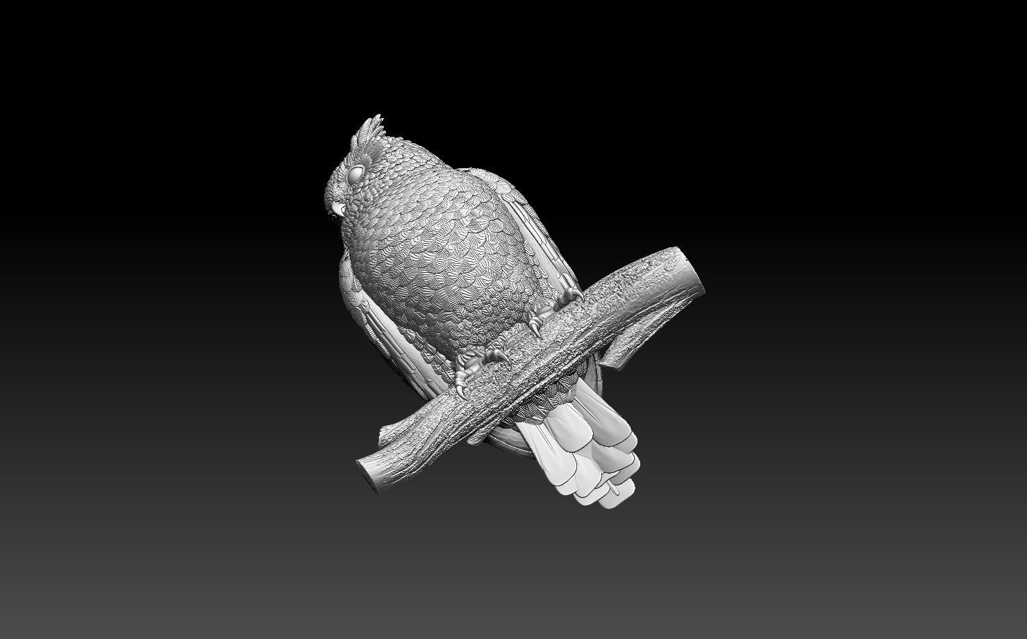 owl bird 3D print model_12
