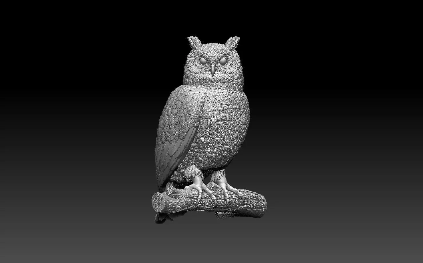 owl bird 3D print model_0