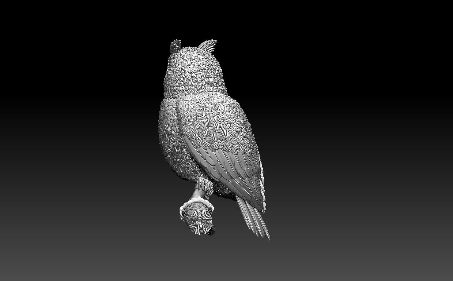 owl bird 3D print model_3