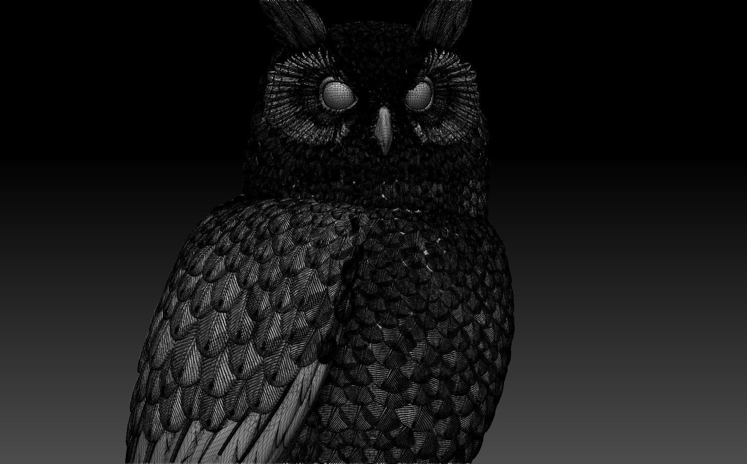 owl bird 3D print model_52