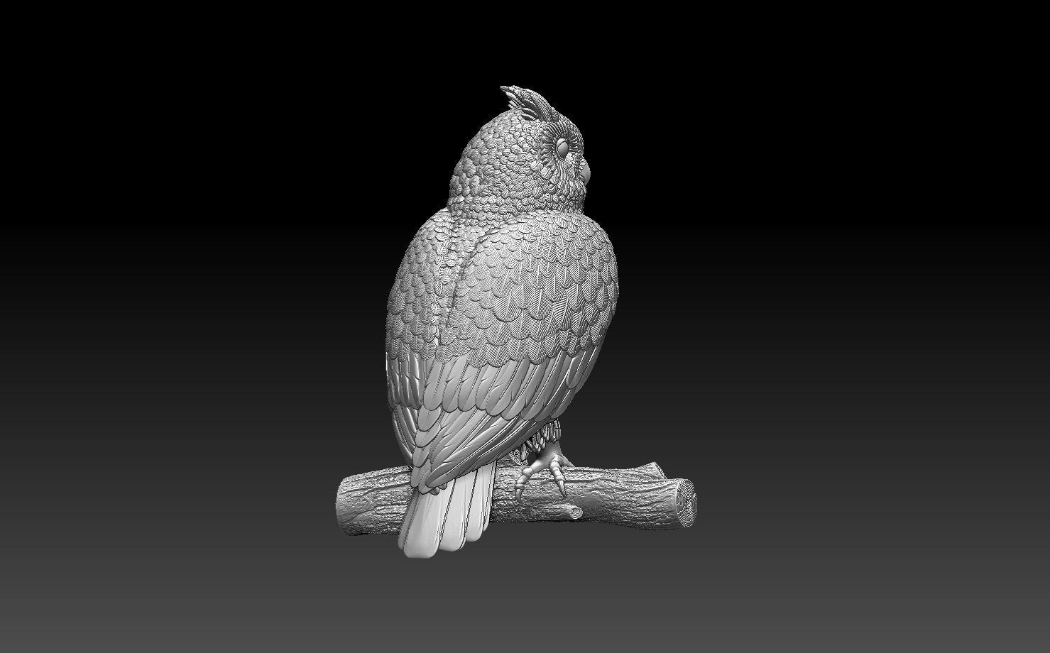 owl bird 3D print model_44