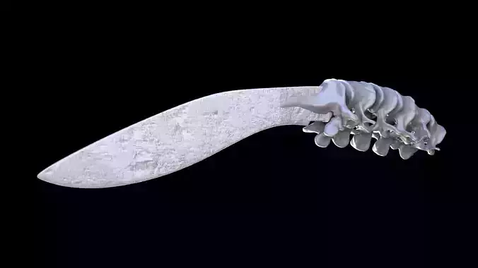 Bone knife