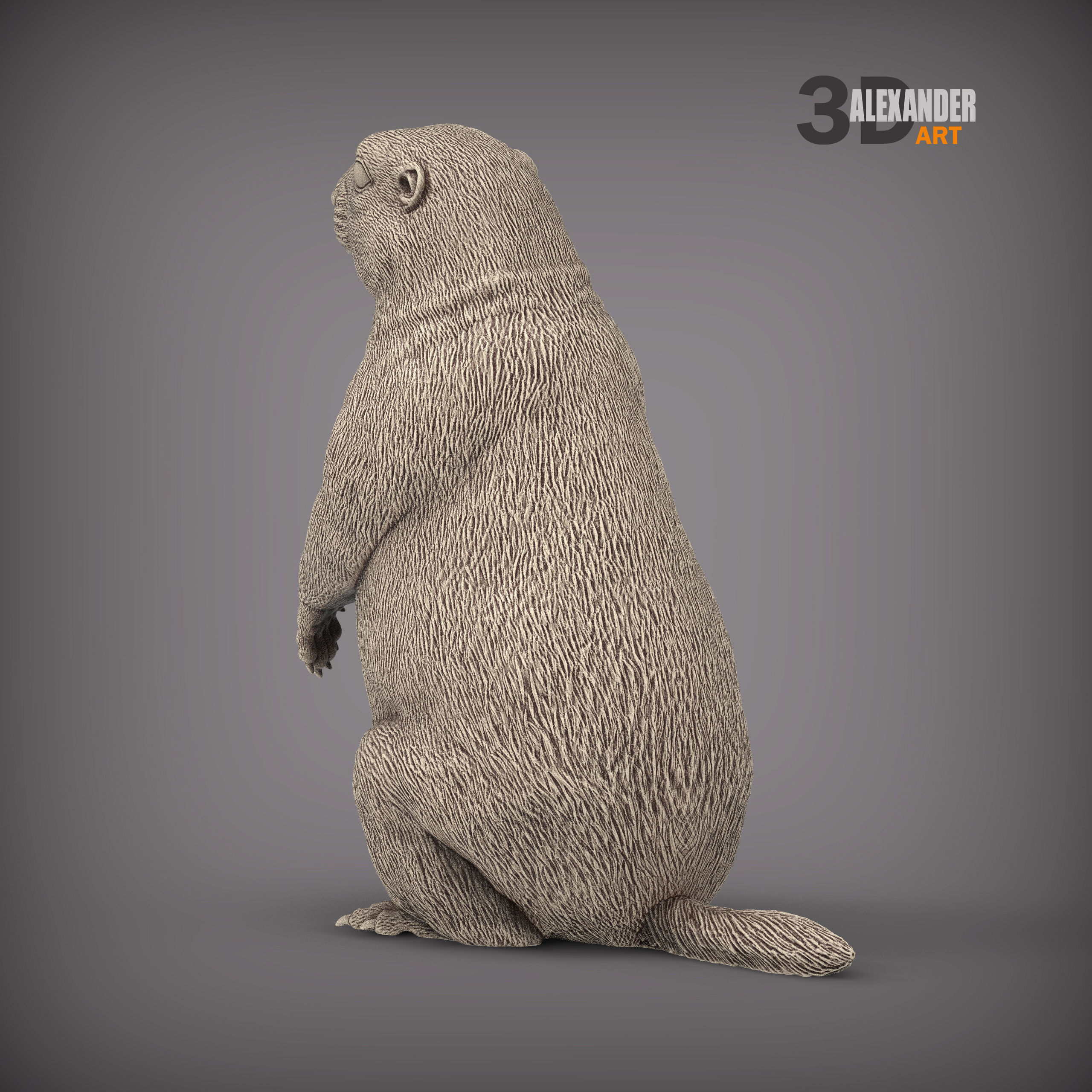 Prairie dog on its hind legs 3D print model_3