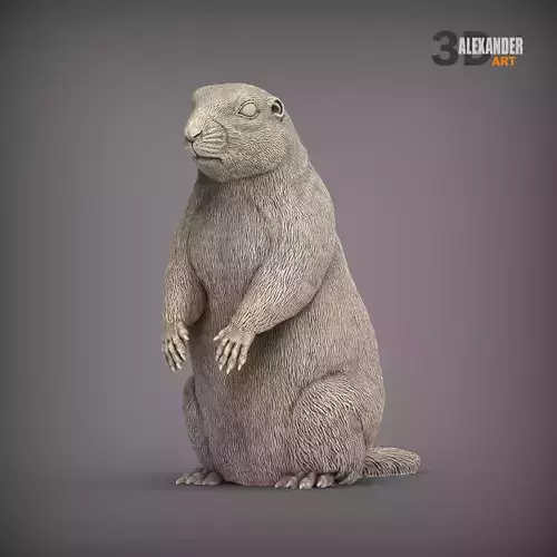 Prairie dog on its hind legs