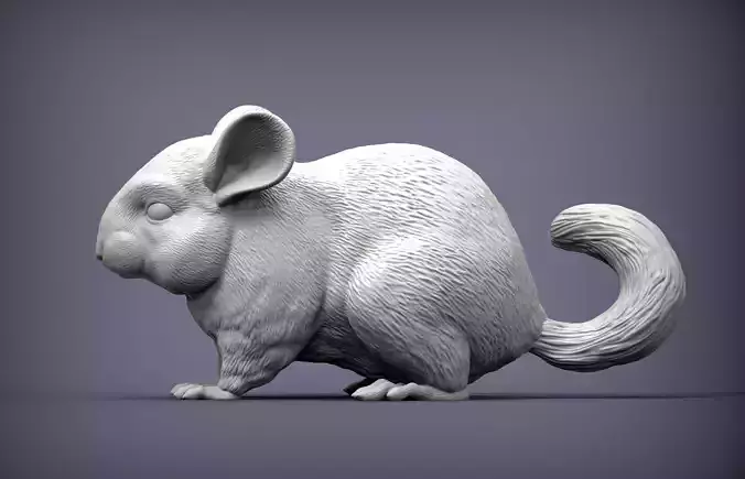 chinchilla 3D print model