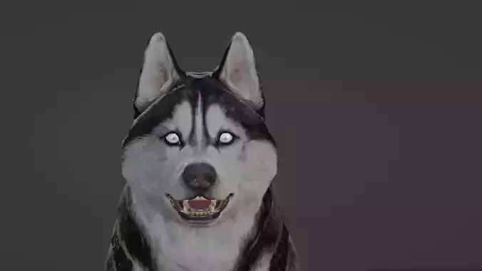 Wolf 3D dog running Low-poly 3D model