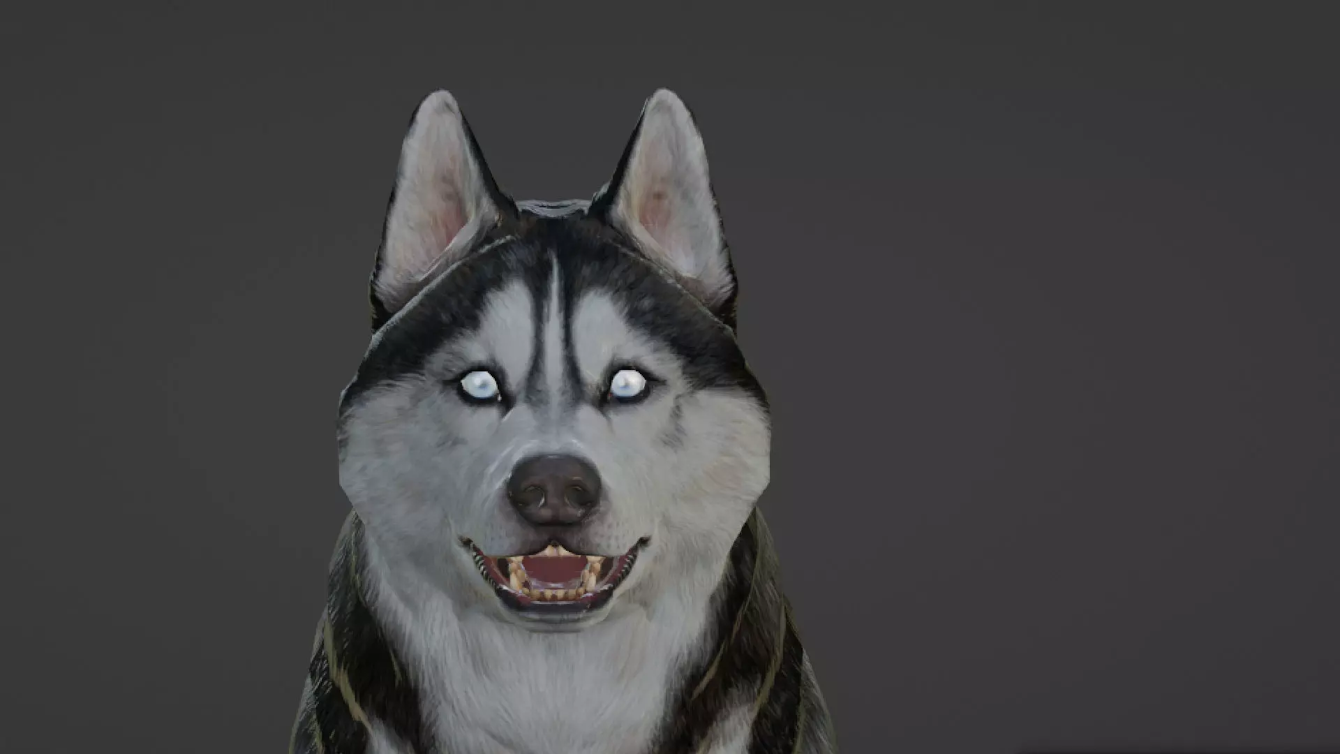 Wolf 3D dog running Low-poly 3D model