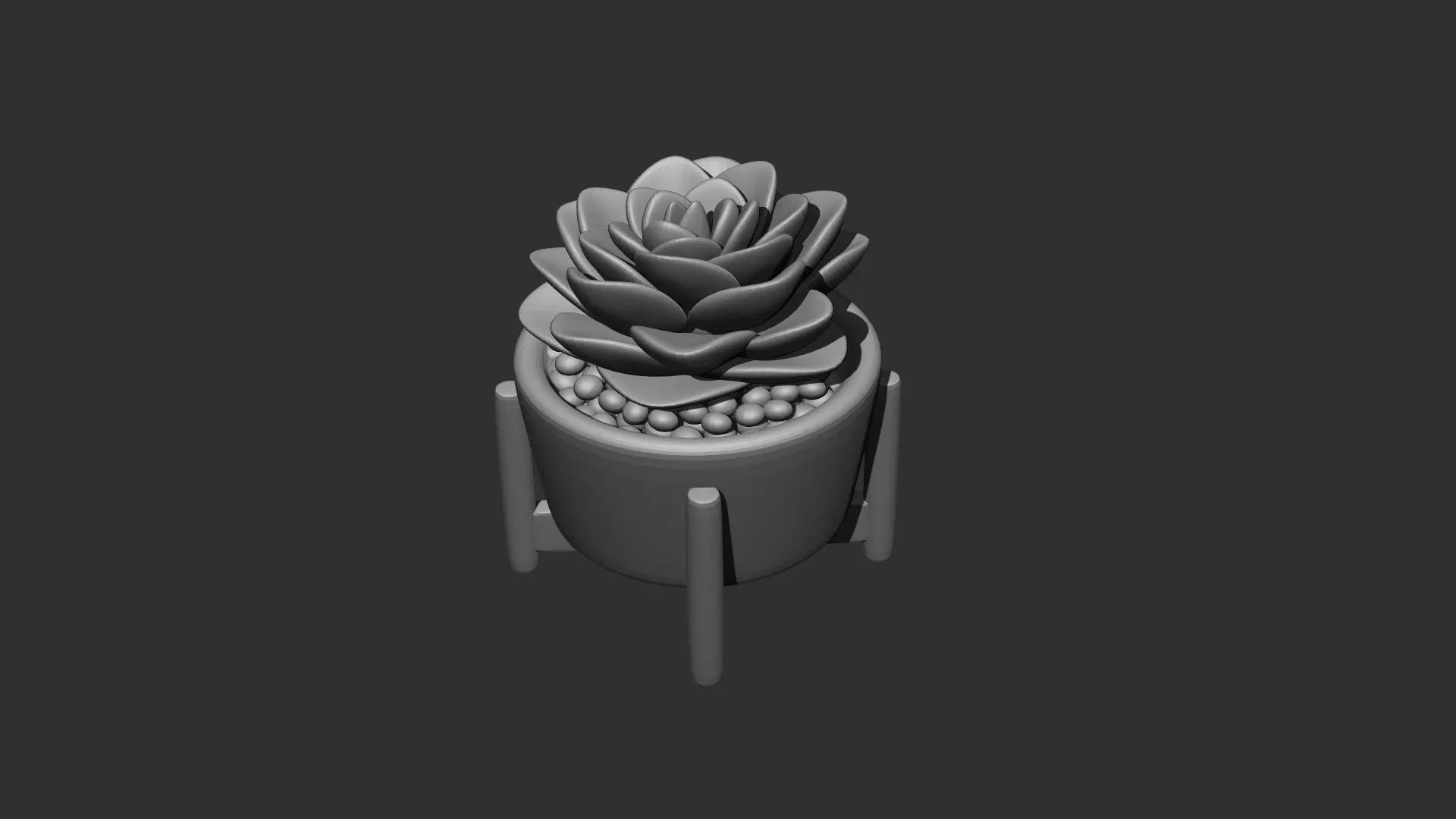 Plant succulent in pot Free 3D model