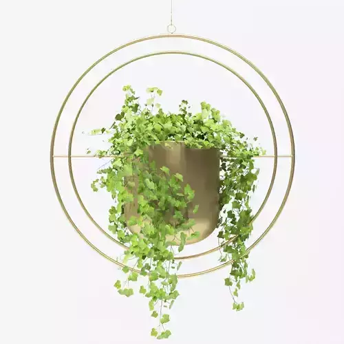Halo Hanging Pot Plant