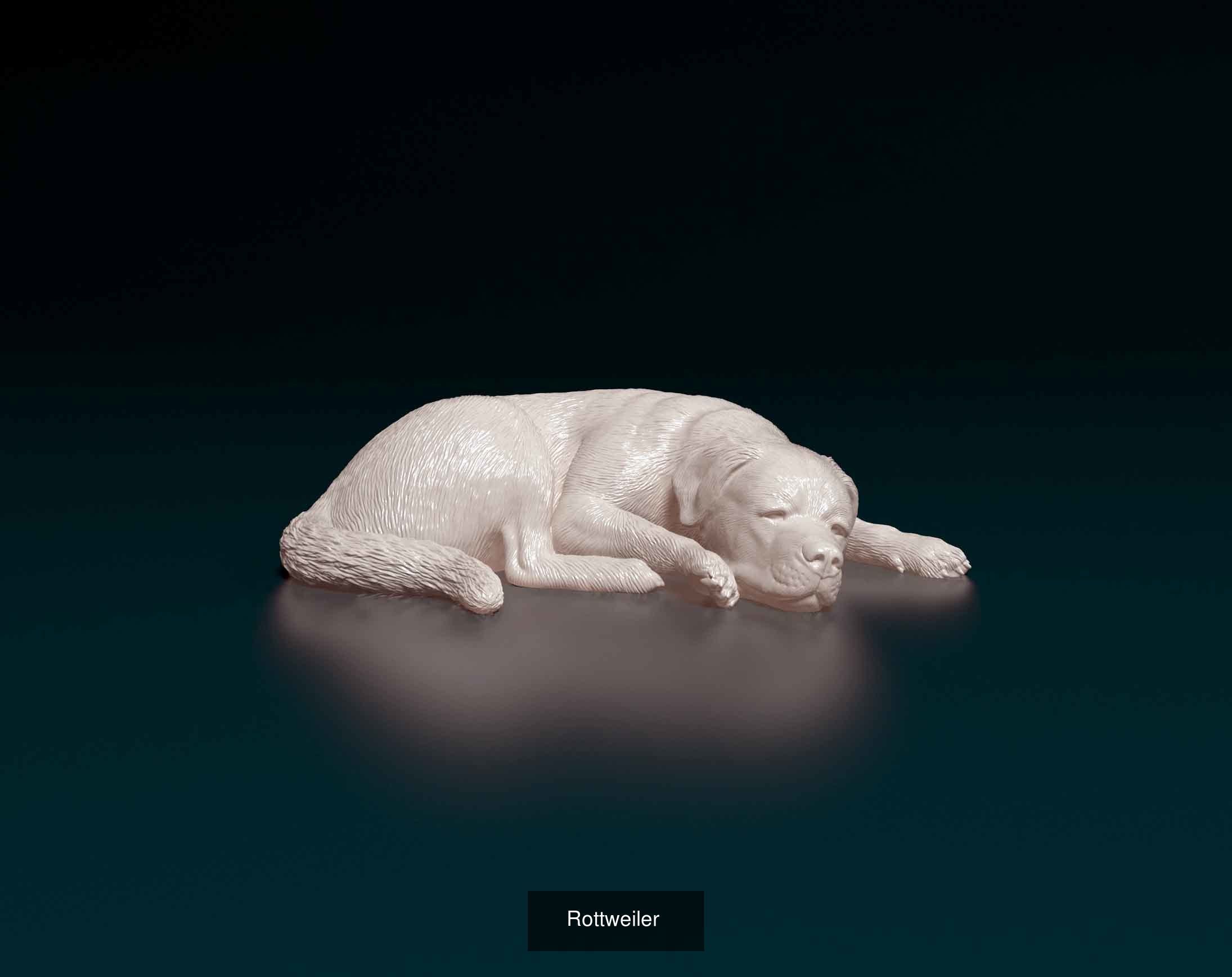 Piaah Collection 2 dachshund figurine _5