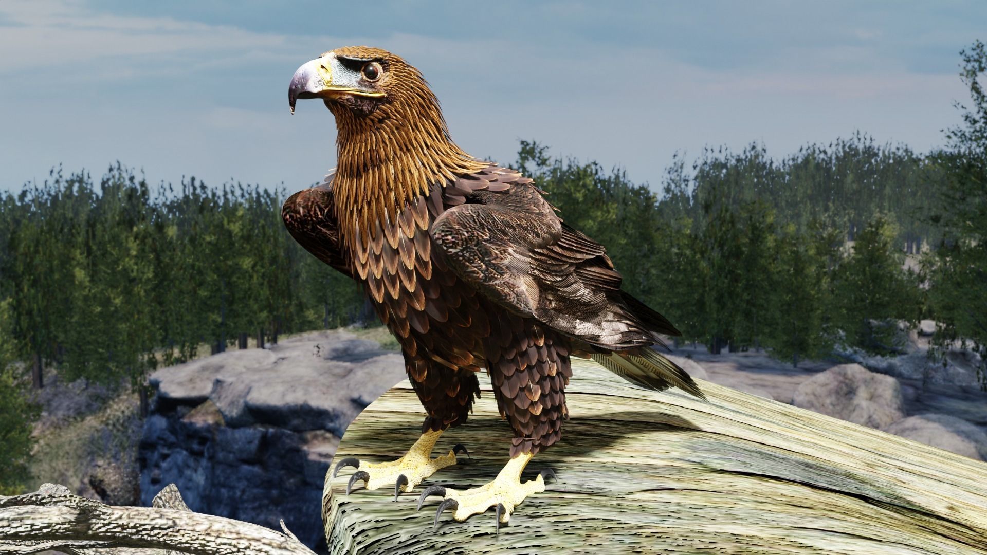 Golden Eagle - BLENDER 3D model_11