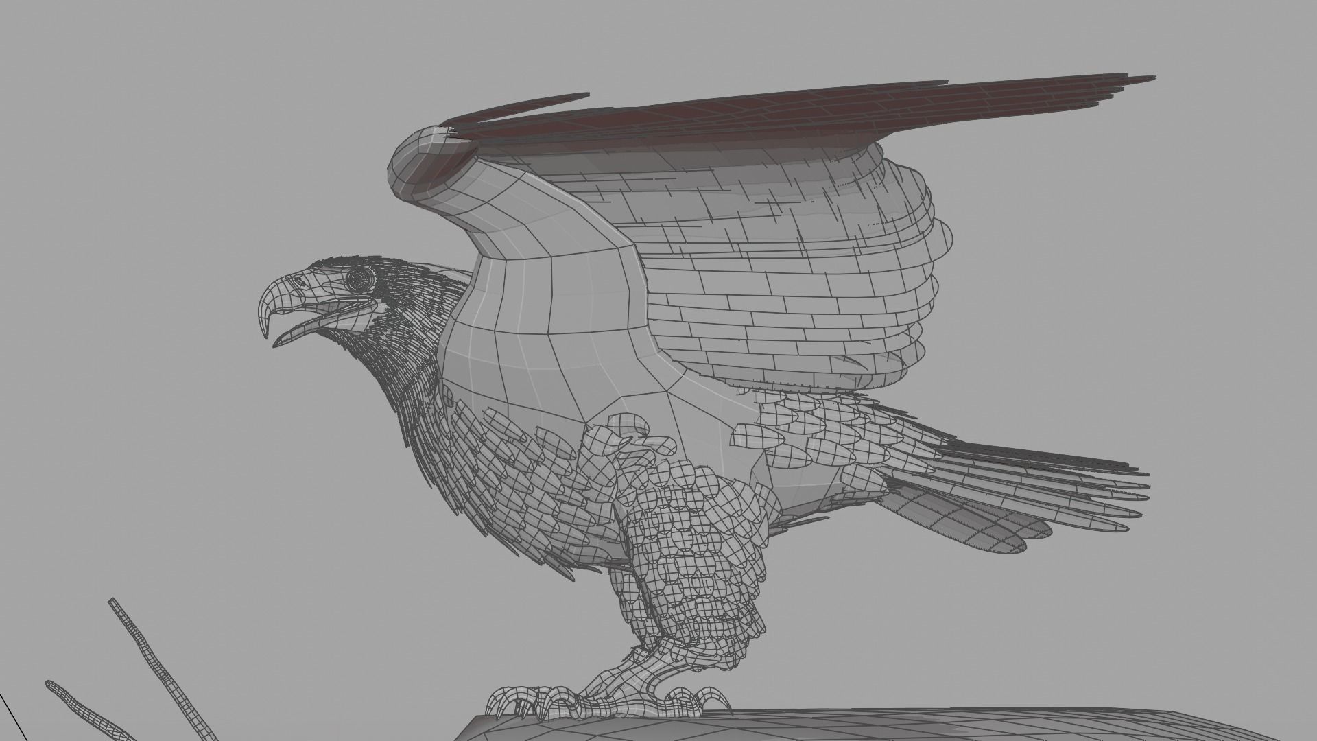 Golden Eagle - BLENDER 3D model_27