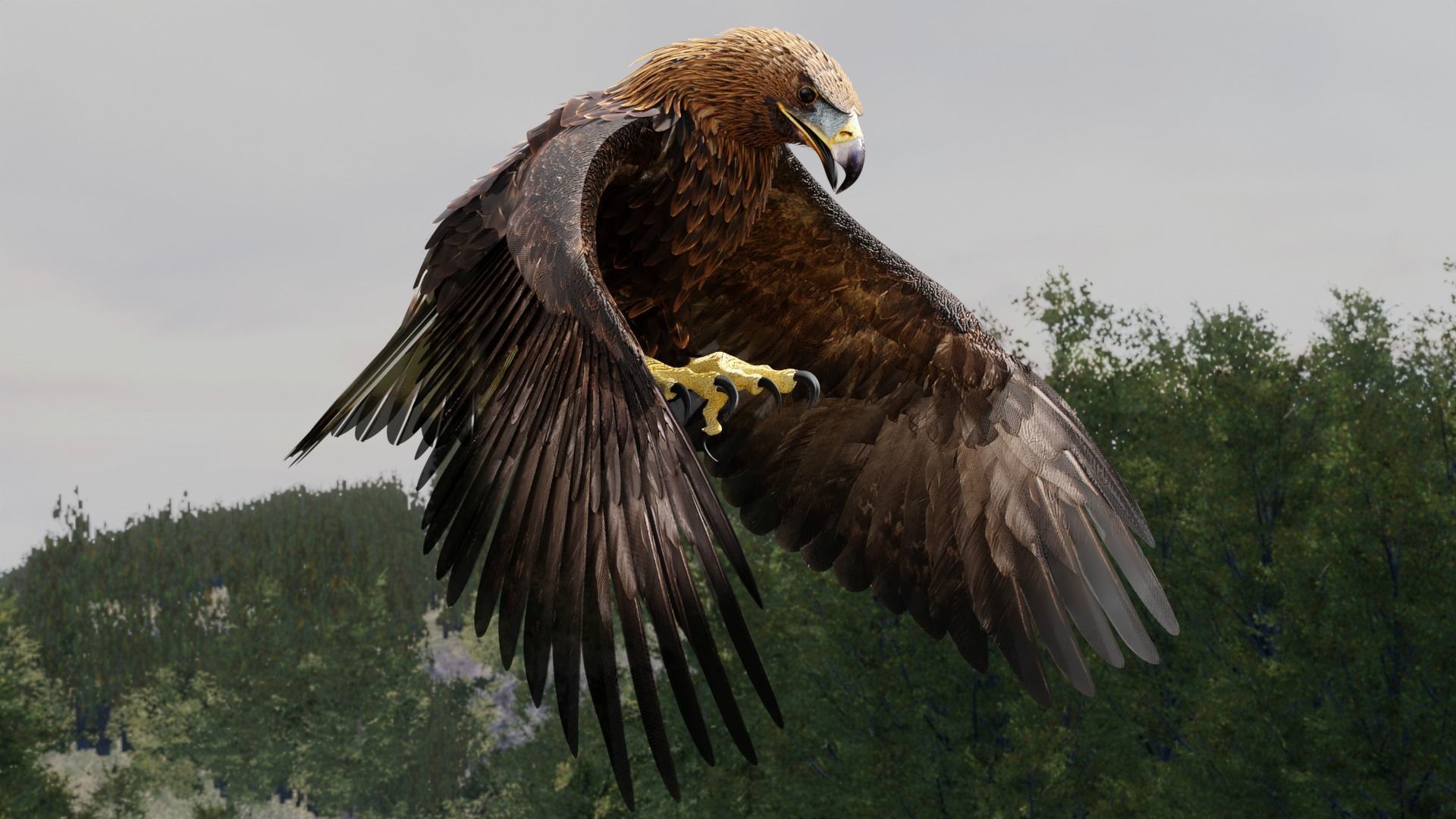 Golden Eagle - BLENDER 3D model_15