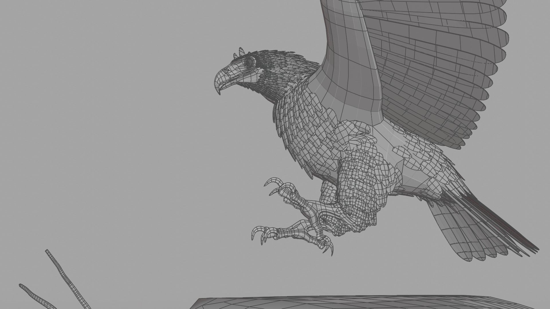 Golden Eagle - BLENDER 3D model_29