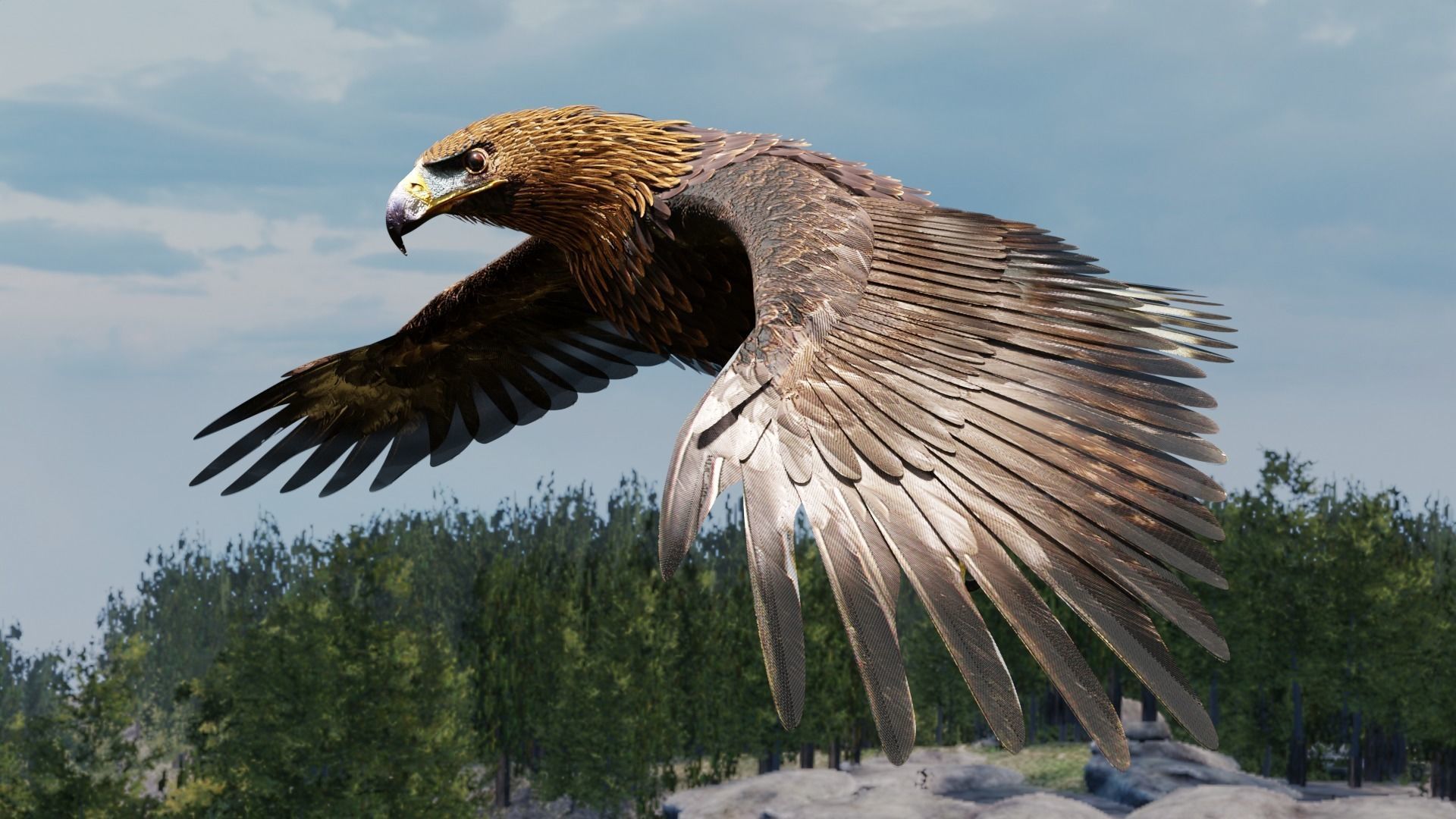 Golden Eagle - BLENDER 3D model_10