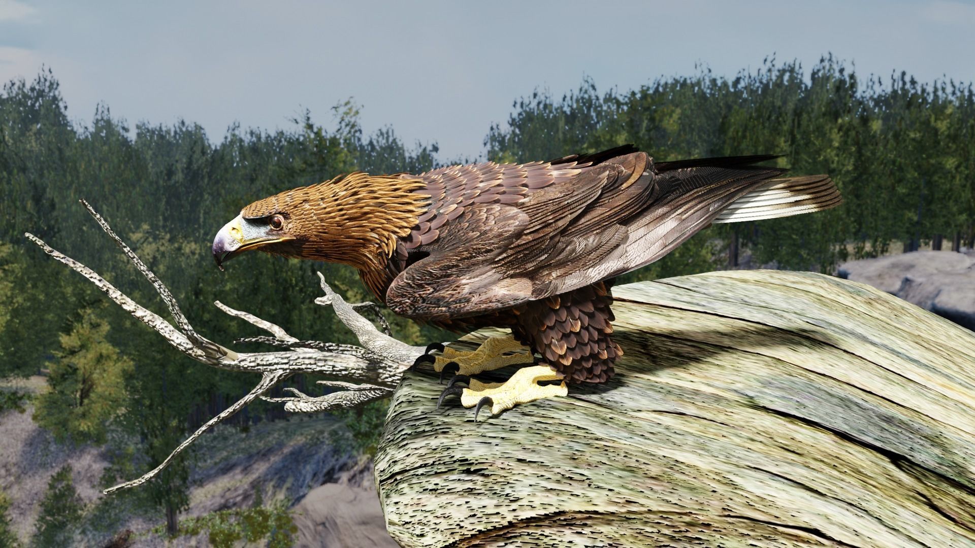 Golden Eagle - BLENDER 3D model_8