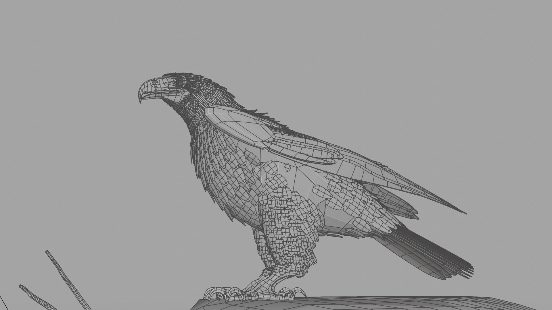 Golden Eagle - BLENDER 3D model_28